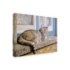 Trademark Fine Art Janet Pidoux 'Windowsill' Canvas Art, 24x32 ALI36517-C2432GG